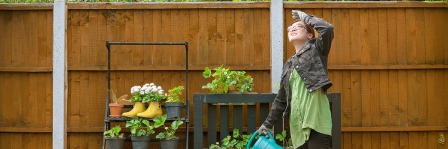 From Old Bean Grows Bak Choy - a solo theatre performance